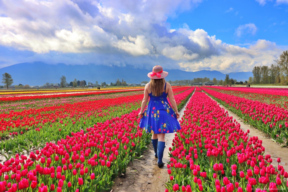 Dhaka to Kashmir Tour Package from Bangladesh by Road & Air
